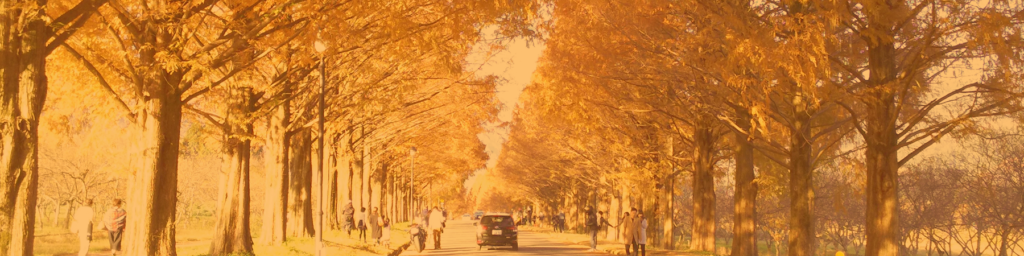 秋のハイキングin滋賀「～見てよし・食べてよし・歩いてよし～近江商人の街あるき」